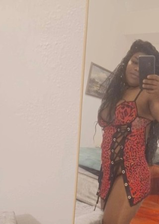 Ashford | Profile KARLLA-40-3561824-photo-1