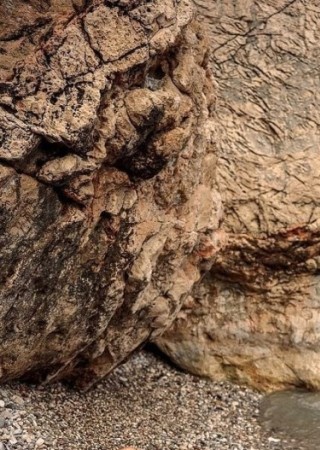 Shakira Sinclair-26-3562024-photo-6