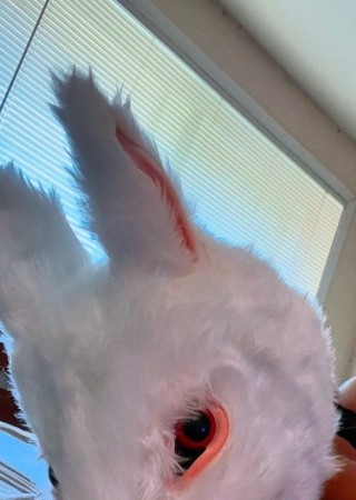 China-28-3561809-photo-0