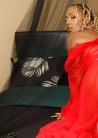 Arya-24-3560731-photo-3