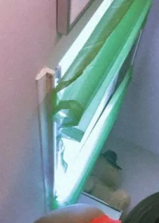 Zoey-23-3559949-photo-3