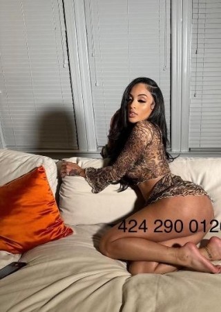 Ari-24-3555799-photo-2