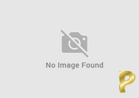 Mercy-29-3555935-photo-2