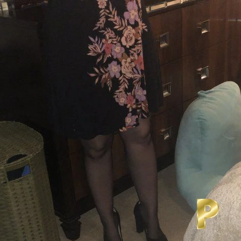 Piper-30-3559947-photo-2