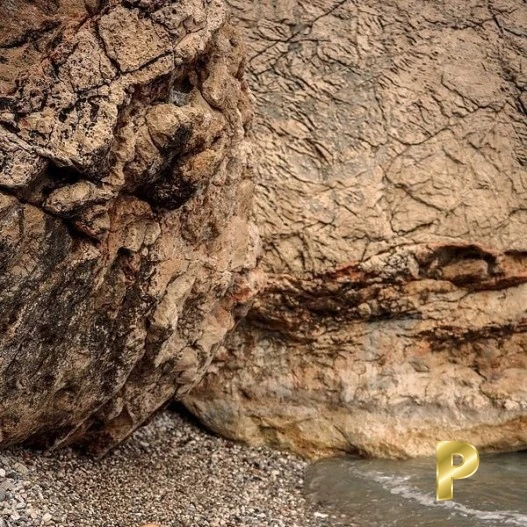 Shakira Sinclair-26-3562024-photo-8