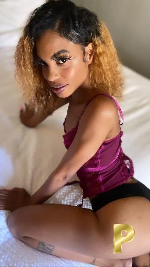 Nikky-24-3553643-photo-1