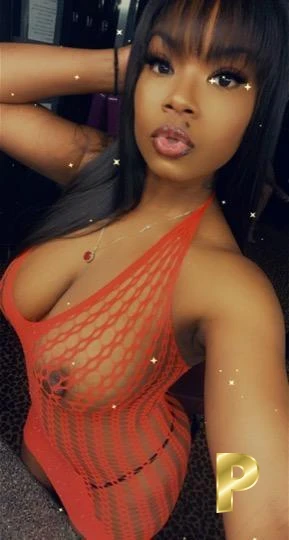 Exotic-25-3550238-photo-3
