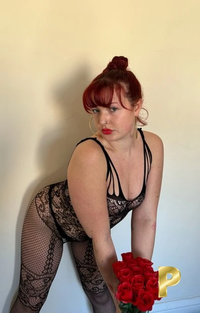 Alexa-26-3551141-photo-1